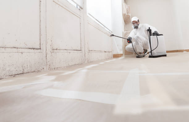 24/7 Emergency Attic Mold Removal experts in Luthersburg, PA